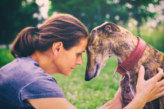 PETS ON PARKS!